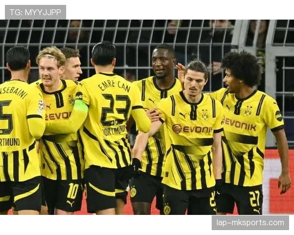 德甲夏窗引援潮涌，多队补强阵容剑指新赛季