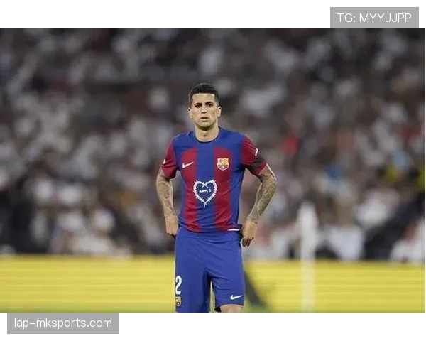 坎塞洛巴萨时期战术角色与数据表现解析